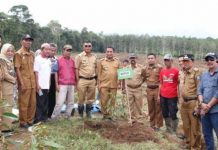 Andi Utta Buat Kebun Percontohan Bibit Unggul di Tibona FOTO: Bupati Bulukumba Muchtar Ali Yusuf membuat Kebun Percontohan Bibit Unggul di Desa Tibona Kecamatan Bulukumpa. Jumat, (1/4)