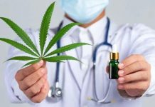 Pakar Farmakologi UGM Tidak Setuju Upaya Legalisasi Ganja, ini Alasannya FOTO: Ilustrasi Ganja Medis/Net