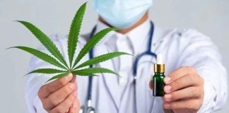 Pakar Farmakologi UGM Tidak Setuju Upaya Legalisasi Ganja, ini Alasannya FOTO: Ilustrasi Ganja Medis/Net