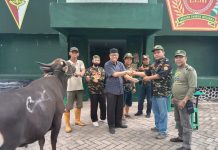 Hayat Gani Serahkan Hewan Kurban ke PPM Sulsel, Kaharuddin: Agar Kita Peka Terhadap Kehidupan Sosial FOTO: Abdul Kaharuddin Azis, SE, M.Si (Bendahara) serahkan hewan kurban kepada Panitia M. Takdir di MADA PPM Sulsel. Minggu, (10/7)
