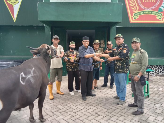 FOTO: Abdul Kaharuddin Azis, SE, M.Si (Bendahara) serahkan hewan kurban kepada Panitia M. Takdir di MADA PPM Sulsel. Minggu, (10/7)