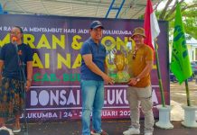 Pameran Bonsai Bulukumba Ditutup Makassar Juara Umum Daerah