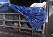 Di Duga Libatkan Oknum Polisi, Bisnis Ilegal Solar Subsidi di Sulsel Marak FOTO: Barang bukti satu unit mobil pick up dan puluhan jerigen solar subsidi, Kamis (28/7/2022).