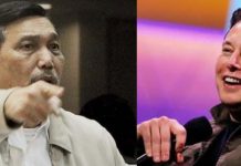 Di Unhas, LBP: hey Elon, Mau Kau Gimana? Foto: Kolase Menteri Koordinator Bidang Kemaritiman dan Investasi Luhut Binsar Pandjaitan dan CEO Tesla Inc, Elon Musk/Net