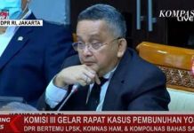 Anggota Komisi III Sentil Gaya Hidup Polisi, Trimedya: Lebih Kaya dari DPR Foto: Anggota Komisi III DPR Fraksi PDIP Trimedya Panjaitan/Net