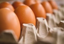 Harga Telur Naik, Mendag Zulhas: Jangan Diributi Ilustrasi Telur Ayam