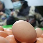 Masyarakat Keluhkan Terjadi Lonjakan Harga Beras dan Bahan Pokok Lainnya Foto Ilustrasi Telur ayam ras