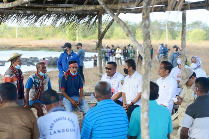 FOTO: Presiden Jokowi meninjau dan bertemu dengan peternak kerbau di Desa Werwaru, Pulau Moa, Kabupaten Maluku Barat Daya pada Kamis (15/09/2022). (Foto: BPMI Setpres/Rusman)