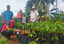 Pemda Bulukumba Gagas Pendidikan Back To Nature di Sekolah FOTO: Bupati Andi Utta saat meninjau bibit unggul kolaborasi Dinas Pendidikan dan Kebudayaan bersama Dinas Pertanian dan Ketahanan Pangan Pemkab Bulukumba