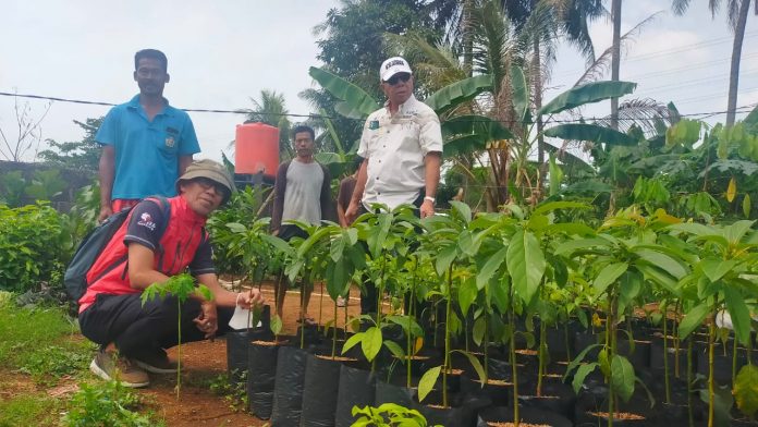 FOTO: Bupati Andi Utta saat meninjau bibit unggul kolaborasi Dinas Pendidikan dan Kebudayaan bersama Dinas Pertanian dan Ketahanan Pangan Pemkab Bulukumba