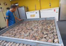 Inspiratif, Kini Jutsuka Tembus Ritel Modern Jutsuka Ikan Kering asal Bulukimba Tembus Ritel Modern