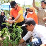 Bupati Bulukumba Tanam Bibit Kayu Bitti, Bahan Kayu Utama untuk Kapal Pinisi FOTO: Bupati Bulukumba Andi Muchtar Ali Yusuf lakukan prosesi penanaman bersama pohon Bitti sebagai bahan baku pembuatan Kapal Pinisi di Bantilan Tanah Beru, Kecamatan Bonto Bahari, Rabu, 14 September 2022.