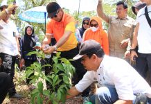 Bupati Bulukumba Tanam Bibit Kayu Bitti, Bahan Kayu Utama untuk Kapal Pinisi FOTO: Bupati Bulukumba Andi Muchtar Ali Yusuf lakukan prosesi penanaman bersama pohon Bitti sebagai bahan baku pembuatan Kapal Pinisi di Bantilan Tanah Beru, Kecamatan Bonto Bahari, Rabu, 14 September 2022.