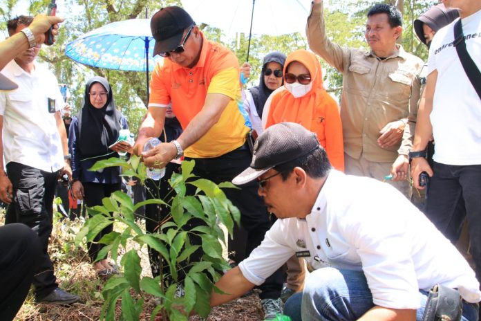 FOTO: Bupati Bulukumba Andi Muchtar Ali Yusuf lakukan prosesi penanaman bersama pohon Bitti sebagai bahan baku pembuatan Kapal Pinisi di Bantilan Tanah Beru, Kecamatan Bonto Bahari, Rabu, 14 September 2022.