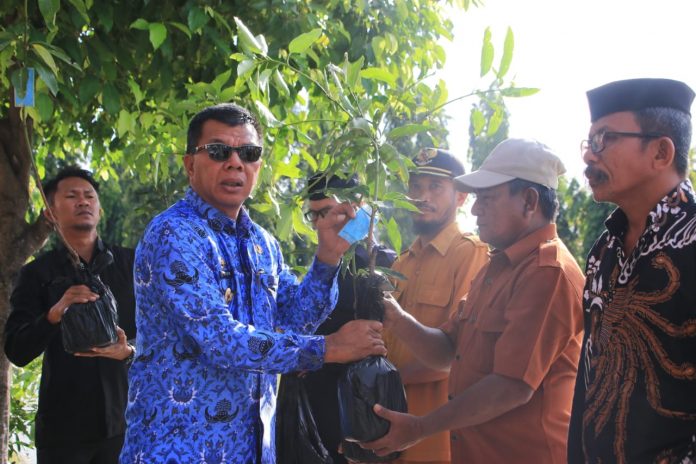 FOTO: Bupati Bulukumba Andi Muchtar Ali Yusuf membagikan ribuan bibit unggul kepada warganya. Kali ini, sebanyak 2500an bibit unggul jenis mangga