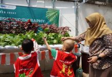 Hilangkan Stres, Tim PKM PM Unhas Gandeng YKAKI Makassar Adakan Gardening Theraphy FOTO: Aktivitas Gardening Theraphy.
