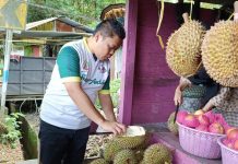 Sempatkan Makan Durian Usai Tinjau Pertandingan, Penjual: Terima Kasih Pak Yasir Machmud
