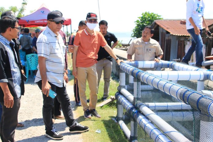 Bupati Bulukumba dan Kadis Perikanan Asrar Amirs saat menyerahkan bantuan keramba rumput laut kepada Kelompok Masseddi Kelurahan Ela-Ela Kecamatan Ujungbulu, Jumat 11 November 2022.