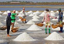 Pemerintah Terbitkan Perpres Percepatan Pembangunan Pergaraman Nasional Ilustrasi Petani Garam