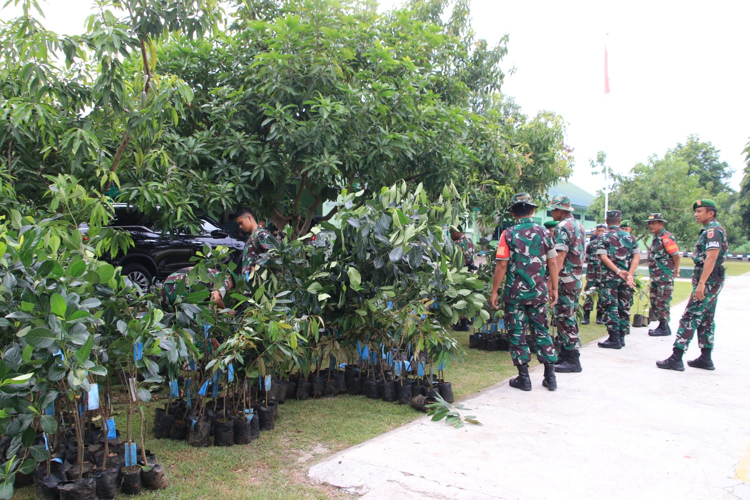 FOTO: Pemkab Bulukumba serahkan 700 pohon bibit unggul kepada personil Kodim 1411 Bulukumba, Rabu, 30 November 2022.