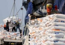 Diperkirakan Beras Impor Masuk di Februari 2023, Pakar Sebut Petani Bakal Rugi Besar Ilustrasi impor beras