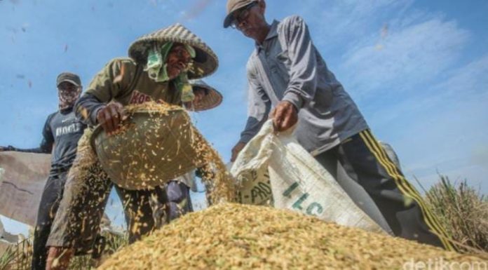 Ilustrasi/Foto: Rifkianto Nugroho/detikcom