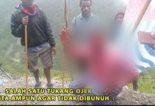 KST Tuding Tukang Ojek Intelejen, Dibunuh Secara Sadis, Brigjend Sembiring: Mereka Warga Sipil FOTO: Salah satu tukang ojek di Kampung Mangabib, Distrik Oksebang jadi korban pembunuhan sadis kelompok KST Nason Mimin.