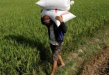 Zulhas Sebut Harga Beras Meroket, SYL: Petaninya Dapat Uang FOTO: Antara/Arnas Padda Buruh mengangkut karung berisi gabah di Kecamatan Somba Opu, Gowa, Sulawesi Selatan, Kamis (1/8/2019).