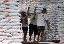 Perum Bulog Gelontorkan Rp 1,76 T, Beli 200 Ribu Ton Beras Impor dari Vietnam FOTO: Buruh membongkar karung beras di gudang Bulog Divre Sulteng, di Palu, Senin (18/5/2022).