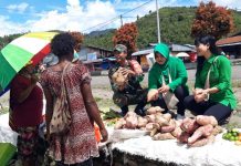 Bangkitkan Perekonomian Masyarakat, Persit Oksibil Belanja Ke Pasar Tradisional FOTO: Persit Kartika Chandra Kirana (KCK) Ranting 02 Oksibil Cabang XIV Kodim 1715/Yahukimo menyambangi pasar tradisional Kota Oksibil yang berada di jalan Kabiding, Distrik Oksibil, Kabupaten Pegunungan Bintang, Kamis (22/12).