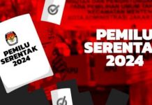 Aliyah, Yangkin, Hatta Marakarma dan Ketua Karang Taruna Sulsel Lolos Berkas Pencalonan Anggota DPD RI Ilustrasi/Net