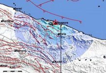 Sejak Pagi Kota Jayapura Dilanda 145 Aktivitas Gempa Bumi Susulan Foto: Ilustrasi/Net