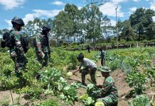 Datangi Ladang Habiskan Dagangan, Prajurit Cakra Jawara Tak Henti Putar Roda Perekonomian di Papua Pegunungan FOTO: Satgas Yonif Raider 321/GT/13/1 Kostrad mendatangi langsung ke ladang masyarakat untuk membeli hasil bumi, bertempat di kampung Putagaima, Distrik Asotipo, Kabupaten Jayawijaya, Papua. Senin (9/1/2023)