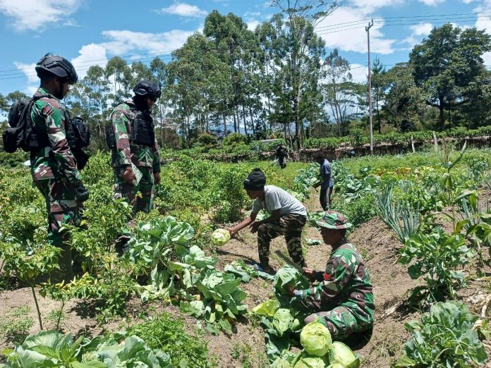 FOTO: Satgas Yonif Raider 321/GT/13/1 Kostrad mendatangi langsung ke ladang masyarakat untuk membeli hasil bumi, bertempat di kampung Putagaima, Distrik Asotipo, Kabupaten Jayawijaya, Papua. Senin (9/1/2023) 