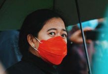 Megawati Sebut Kriteria Calon Pemimpin Masa Depan, Perempuan, Pintar dan Karismatik Foto: Puan Maharani/Net
