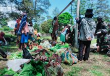 Borong Hasil Bumi Masyarakat Papua, Satgas Yonif R 321/GT Penuhi Permintaan Bahan Makanan PT Freeport Indonesia FOTO: Satgas Yonif Raider 321/GT Pos Napua secara rutin menyalurkan sayuran dan buah-buhan segar kepada PT. Freeport Indonesia, yang di peroleh dari masyarakat Papua Pegunungan, di beberapa Distrik wilayah Jayawijaya.