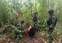 Satgas Pamtas RI-PNG Yonif 132/BS dan Bea Cukai Wilker Skouw Gagalkan Transaksi 1.838 Gram Ganja Di Perbatasan Papua FOTO: Satgas Pamtas RI-PNG Yonif 132/BS dan Bea Cukai Wilker Skouw saat mendapatkan barang bukti kejahatan Narkoba di Kampung Mosso Distrik Muara Tami Kota Jayapura, Senin (16/1).