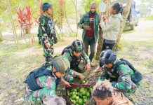 Kuatkan Perekonomian Petani di Pegunungan Papua, Satgas Yonif Raider 321/GT Kembali Borong Alpukat FOTO: Satgas Yonif Raider 321/GT/13/1 Kostrad borong habis hasil bumi alpukat milik masyarakat Distrik Asotipo, Kabupaten Jayawijaya, Papua. Senin (23/1/2023)