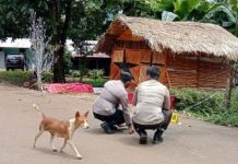 Jurnalis di Papua Dapat Ancaman Bom, AJI Mengecam Keras Aksi itu FOTO: Pihak kepolisian setempat saat mengolah TKP ancaman bom. (Properti AJI)