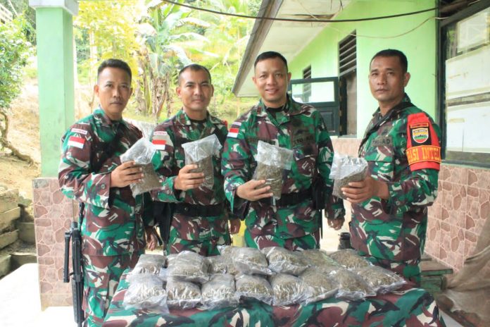 Pamtas RI-PNG sektor utara Yonif 132/BS kembali berhasil menggagalkan penyelundupan narkotika Jenis Ganja seberat 3250gram Di Jl.Trans Jayapura - Wamena, Distrik Mannem, Kabupaten Keerom, Papua, pada hari Rabu (25/01/2023).