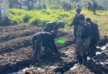 Olah Lahan Perkebunan, Satgas Yonif Raider 321/GT Bersama Masyarakat Kuatkan ketahanan Pangan Distrik Yigi Papua FOTO: Prajurit Satgas Yonif Raider 321/GT/13/1 Kostrad dari Pos Yigi bersama dengan warga mengolah lahan perkebunan yang akan ditanami umbi-umbian serta beberapa jenis sayuran lainnya yang berada di Distrik Yigi, Kabupaten Nduga, Papua.