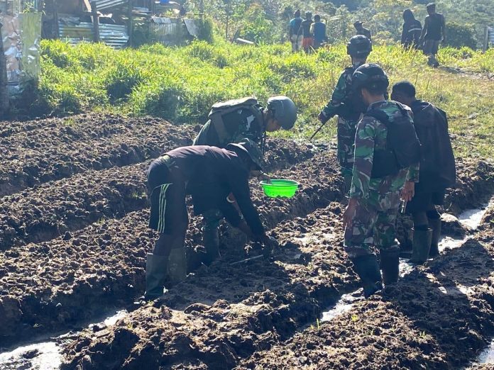 FOTO: Prajurit Satgas Yonif Raider 321/GT/13/1 Kostrad dari Pos Yigi bersama dengan warga mengolah lahan perkebunan yang akan ditanami umbi-umbian serta beberapa jenis sayuran lainnya yang berada di Distrik Yigi, Kabupaten Nduga, Papua.