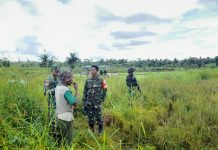 Kodim 1715/Yahukimo Bantu Petani Lakukan Pengolahan Lahan Sawah FOTO: Personel Kodim 1715/Yahukimo dan Babinsa Koramil 1715-06/Dekai melakukan pendampingan pengolahan lahan sawah yang akan disiapkan untuk penanaman benih padi bertempat di jalan Poros Lokbon KM 11, Kampung Lokbon, Distrik Dekai, Kab. Yahukimo, pada Kamis (02/02).