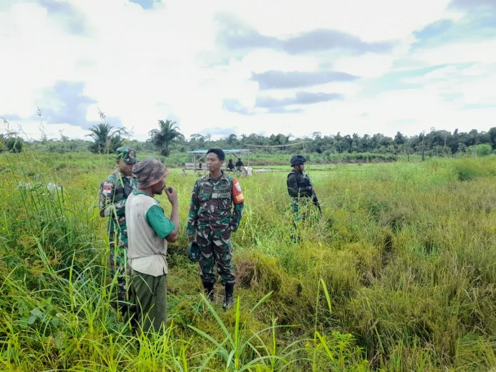 FOTO: Personel Kodim 1715/Yahukimo dan Babinsa Koramil 1715-06/Dekai melakukan pendampingan pengolahan lahan sawah yang akan disiapkan untuk penanaman benih padi bertempat di jalan Poros Lokbon KM 11, Kampung Lokbon, Distrik Dekai, Kab. Yahukimo, pada Kamis (02/02).