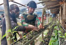 Satgas Yonif Raider 321/GT Berikan Sosialisasi Cara Bercocok Tanam, Wujudkan Ketahanan Pangan Papua FOTO: Satgas Yonif Raider 321/GT/13/1 Kostrad Pos Yigi adakan penyuluhan tentang bercocok tanam dengan memanfaatkan pipa bekas bertempat di Distrik Yigi, Kabupaten Nduga, Papua. Sabtu (04/02/23).