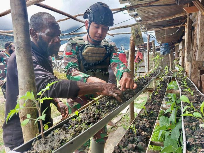 FOTO: Satgas Yonif Raider 321/GT/13/1 Kostrad Pos Yigi adakan penyuluhan tentang bercocok tanam dengan memanfaatkan pipa bekas bertempat di Distrik Yigi, Kabupaten Nduga, Papua. Sabtu (04/02/23).