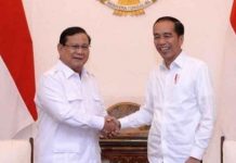 Hasil Survei Spin: Prabowo Subianto Figur Paling Tepat Lanjutkan Pembangunan Presiden Jokowi FOTO: Ketua Umum Partai Gerindra Prabowo Subianto dan Presiden Joko Widodo/Net