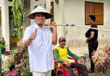 Sosialisasi di 779 Titik Sampai Tingkat Dusun, Ini Catatan Andi Rahim untuk Petani Lutra