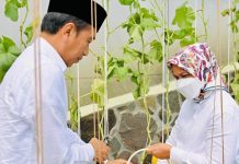 Kunjungi Ponpes Al-Ittifaq, Presiden Jokowi: Layak diikuti Pondok Pesantren Lain FOTO: Presiden RI Joko Widodo (Jokowi) didampingi Ibu Iriana Joko Widodo saat berada di perkebunan buah milik Pondok Pesantren (Ponpes) Al-Ittifaq, di Kecamatan Rancabali, Kabupaten Bandung. Senin (6/3).