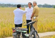 SMRC: Ada Peluang Prabowo-Ganjar Dipasangkan dalam Pilpres 2024 FOTO: Presiden Joko Widodo, Menhan Prabowo Subianto dan Gubernur Jateng Ganjar Pranowo saat menghadiri panen raya di Desa Lajer, Kecamatan Ambal, Kabupaten Kebumen, Jawa Tengah.